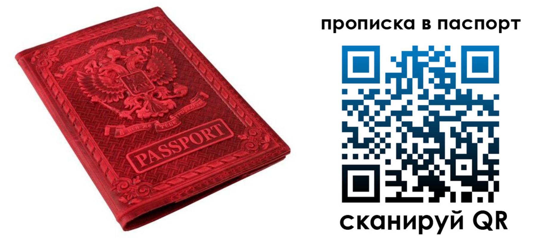 временная регистрация надежно в Архангельске